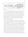 Structuring Random Practice
